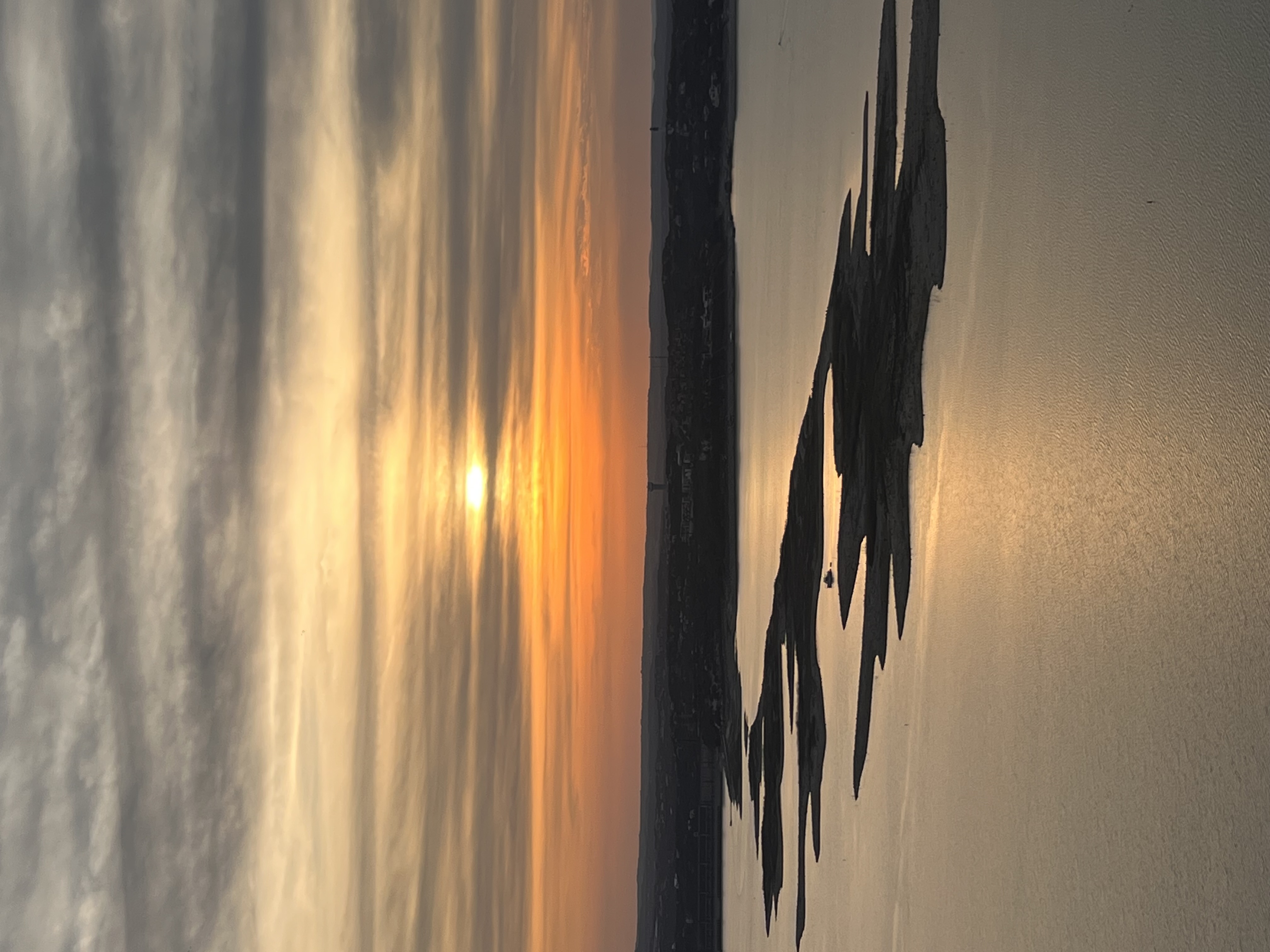 ./2023/02 - Texas/IMG_7107.JPG